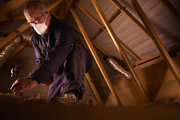 Best Eco-Friendly Insulation in Gambrills, MD